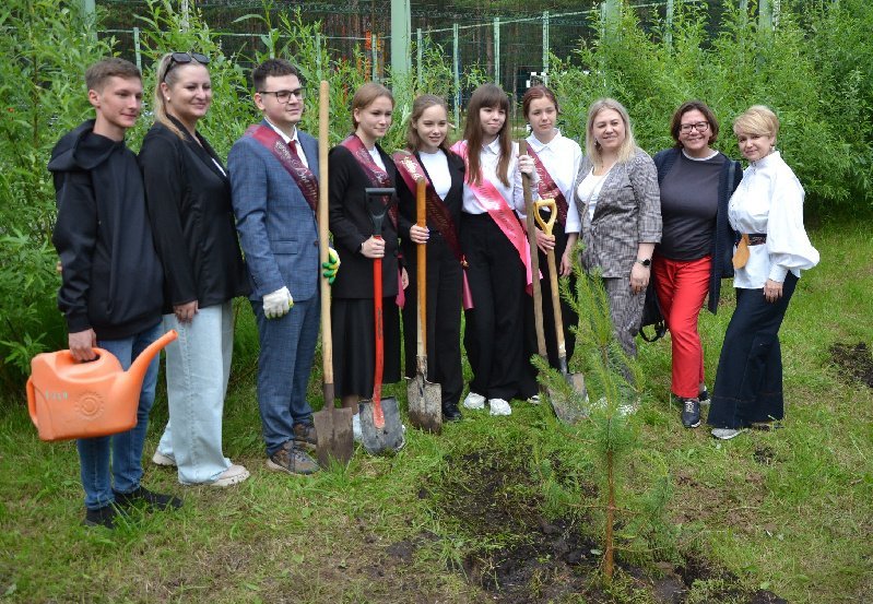 Элемент сетки